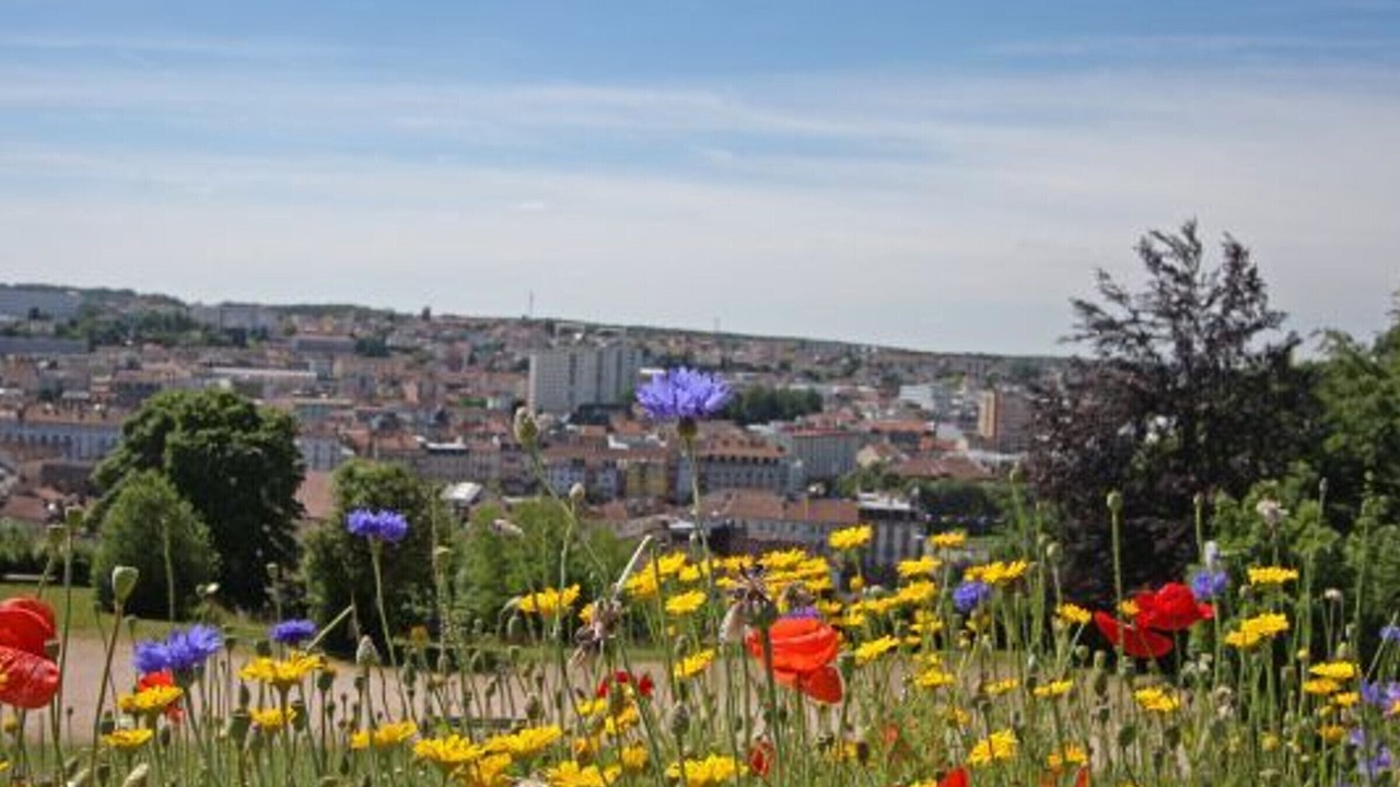 Photo of Outdoor in Epinal