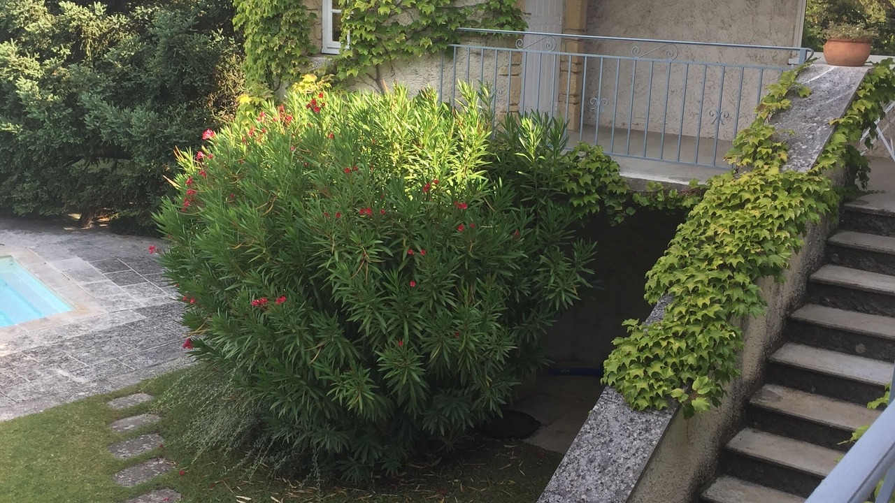 Photo of Outdoor in Saint-Restitut