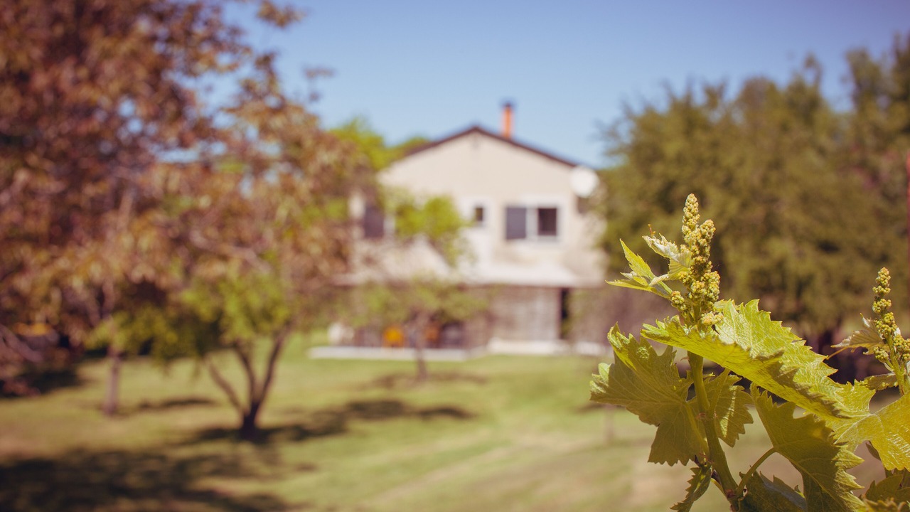 Photo of Outdoor in La Touche