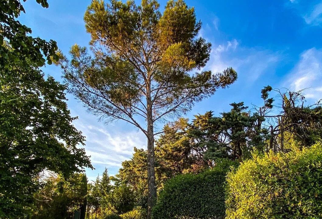 Photo of Outdoor in Etoile-sur-Rhone
