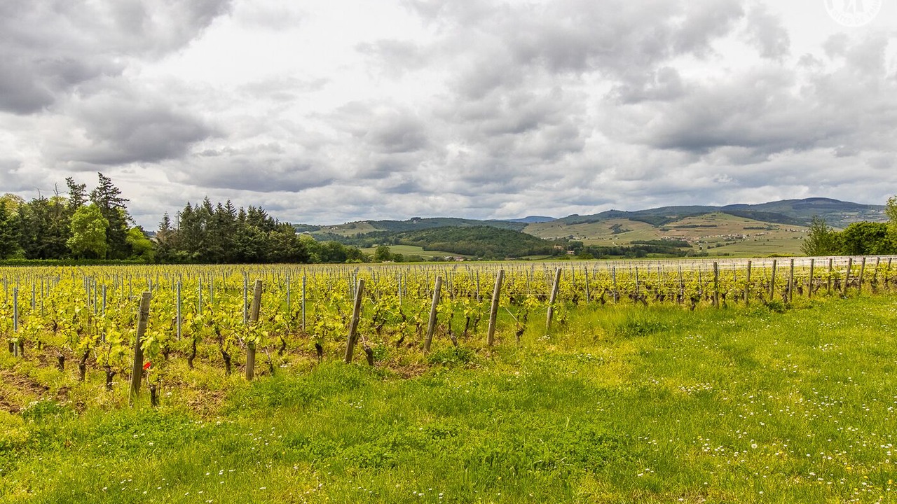 Photo of Outdoor in Charnay-les-Macon