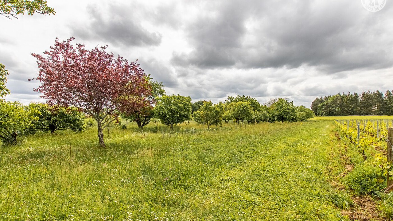 Photo of Outdoor in Charnay-les-Macon