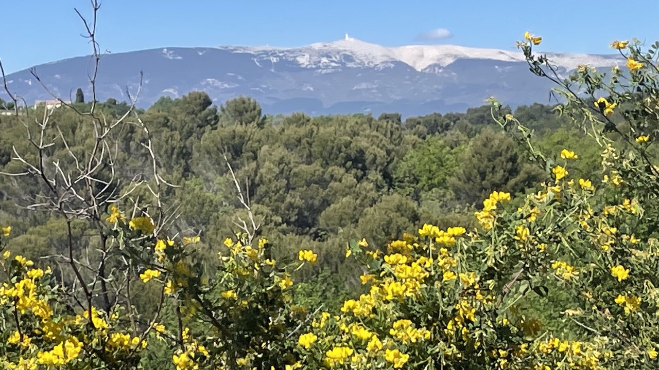 Photo of Outdoor in Malemort-du-Comtat