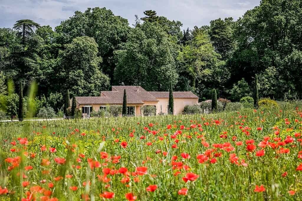 Photo of Outdoor in Saint-Didier