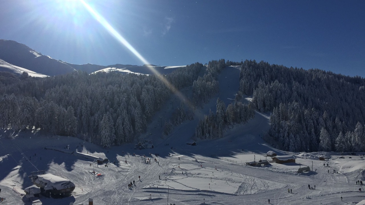 Photo of Others in Laveissiere