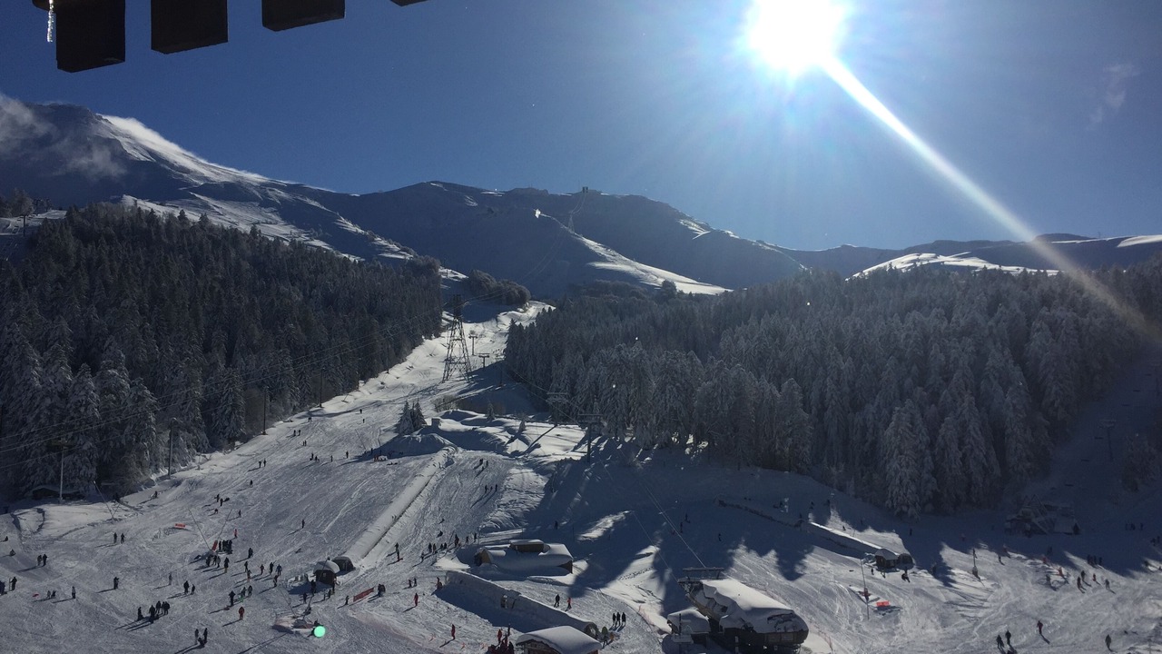 Photo of Others in Laveissiere
