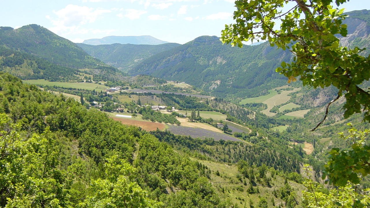 Photo of Others in Brette