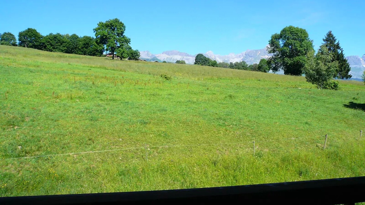Photo of Outdoor in Combloux
