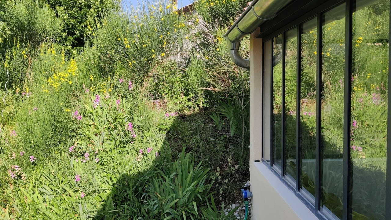 Photo of Outdoor in Aurel