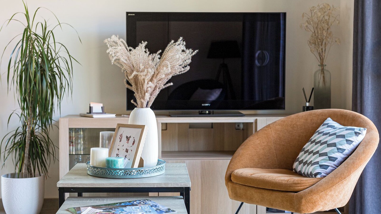 Photo of Livingroom in Jongieux