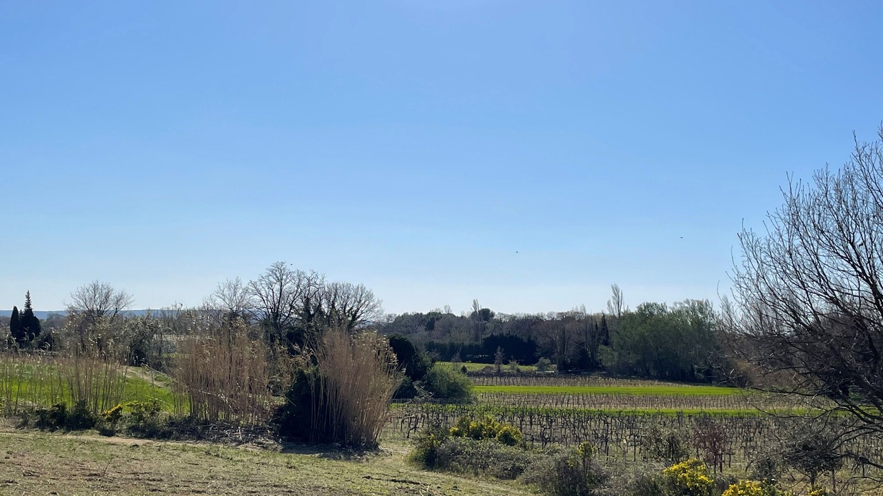 Photo of Outdoor in Visan