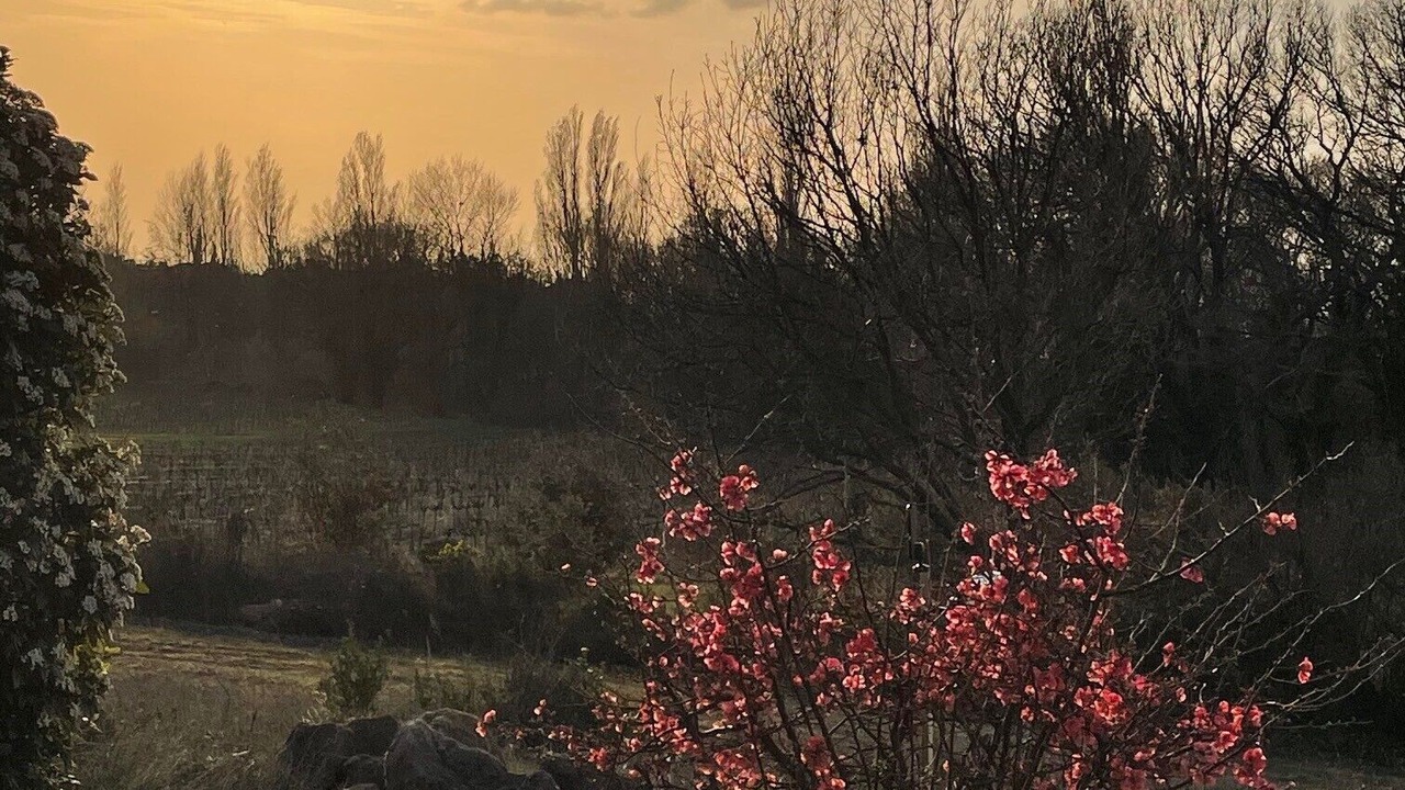Photo of Outdoor in Visan
