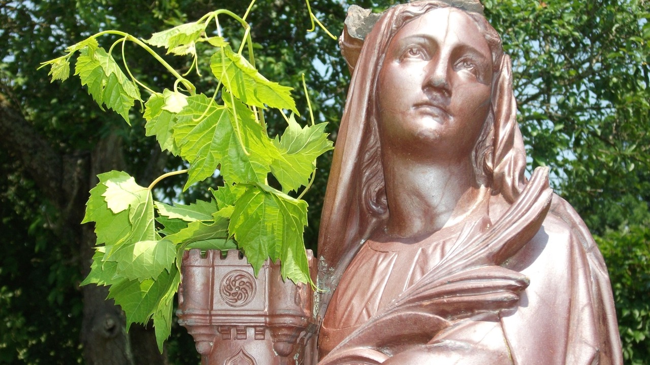 Photo of Outdoor in Mirecourt