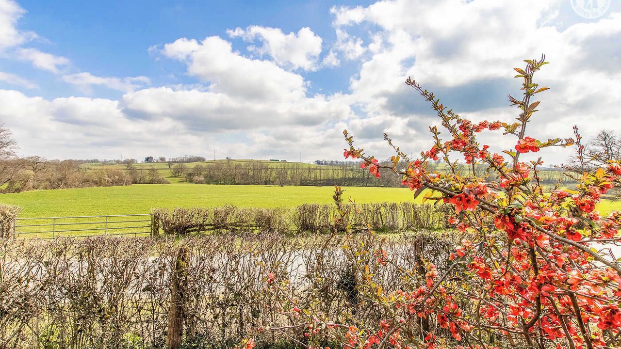 Photo of Outdoor in Uxeau