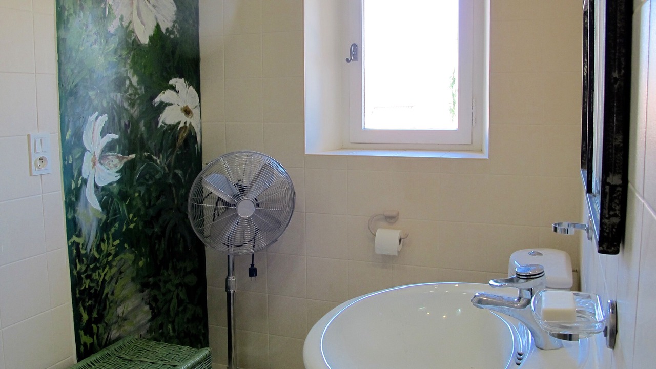 Photo of Bathroom in Caromb