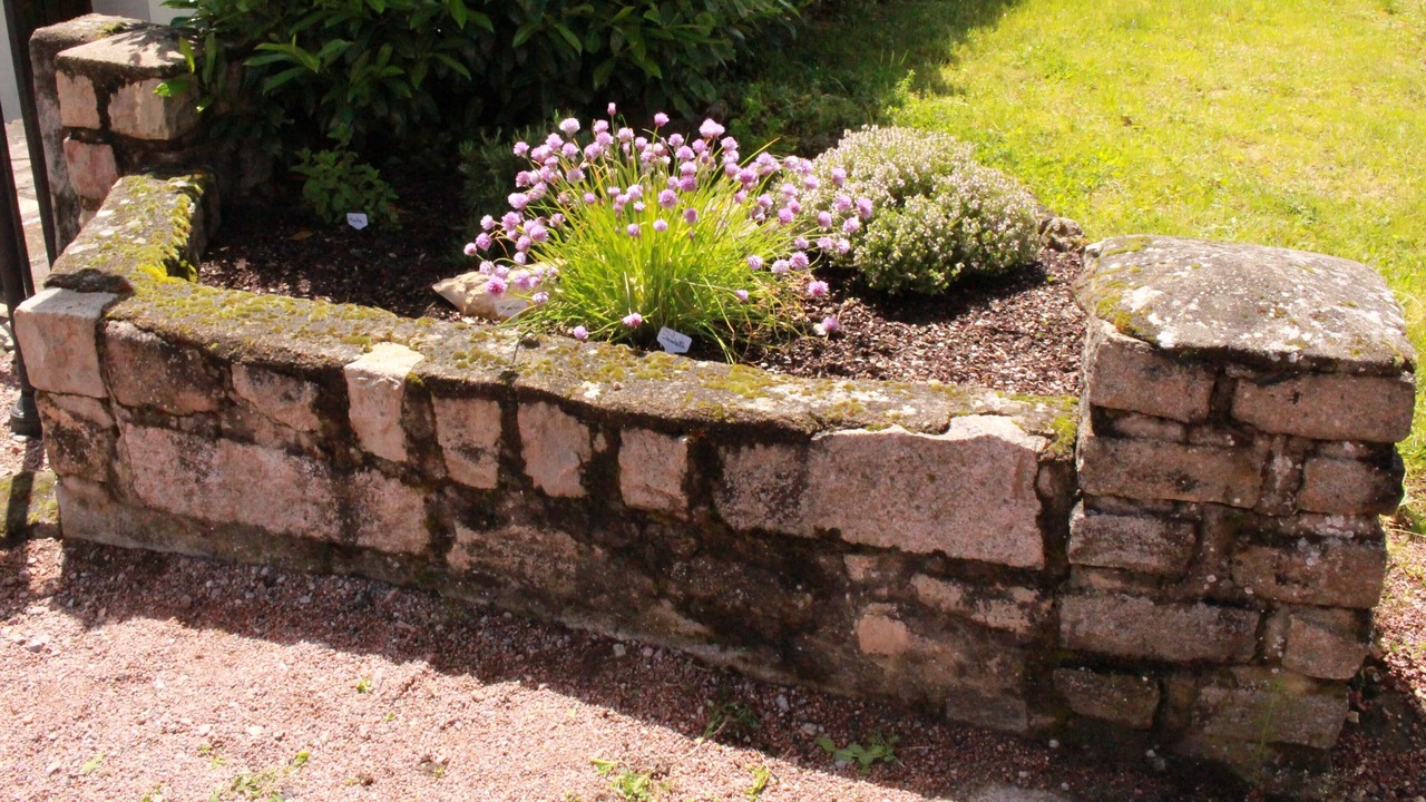 Photo of Outdoor in Le Breuil
