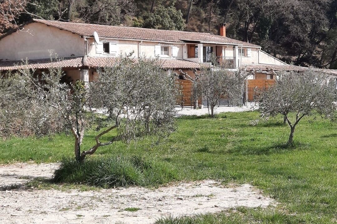Photo of Outdoor in Puget
