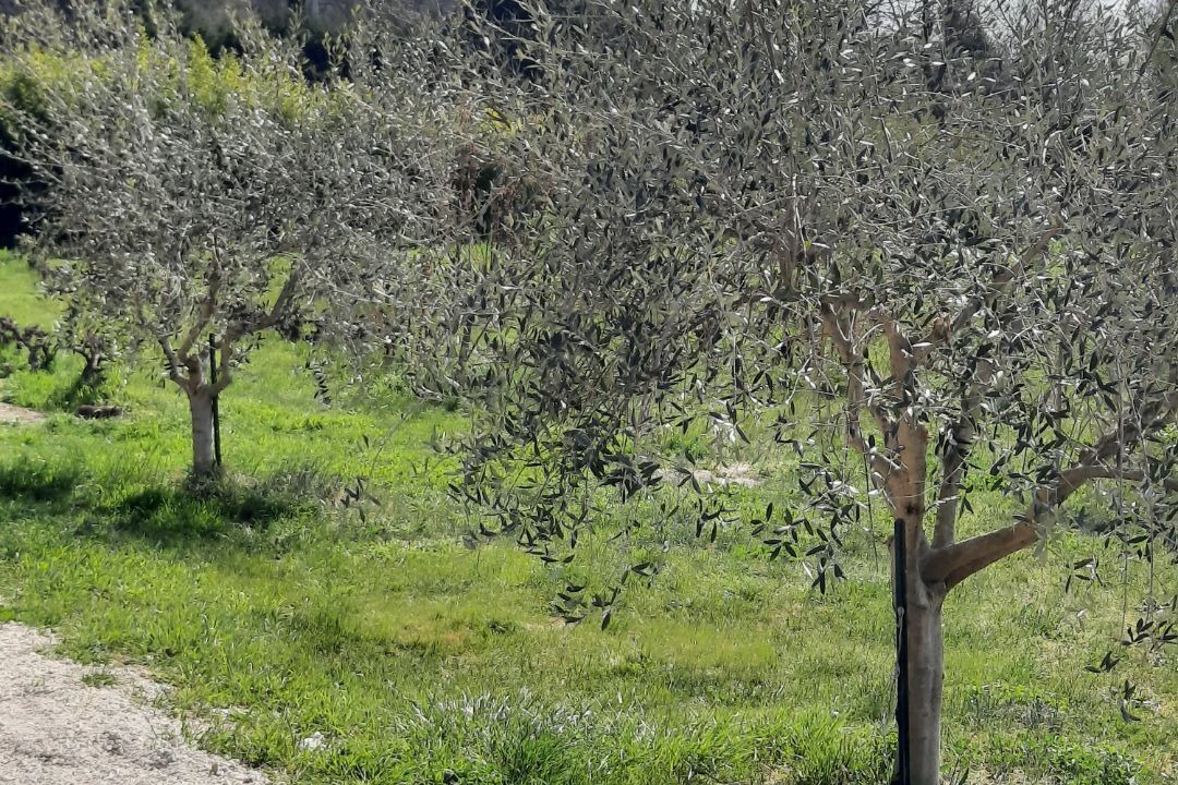 Photo of Outdoor in Puget