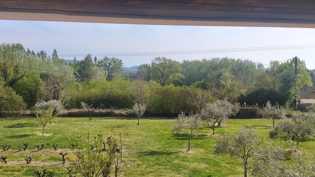 Photo of Outdoor in Puget
