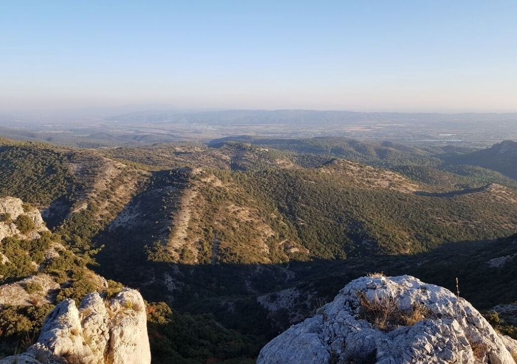 Photo of Outdoor in Puget