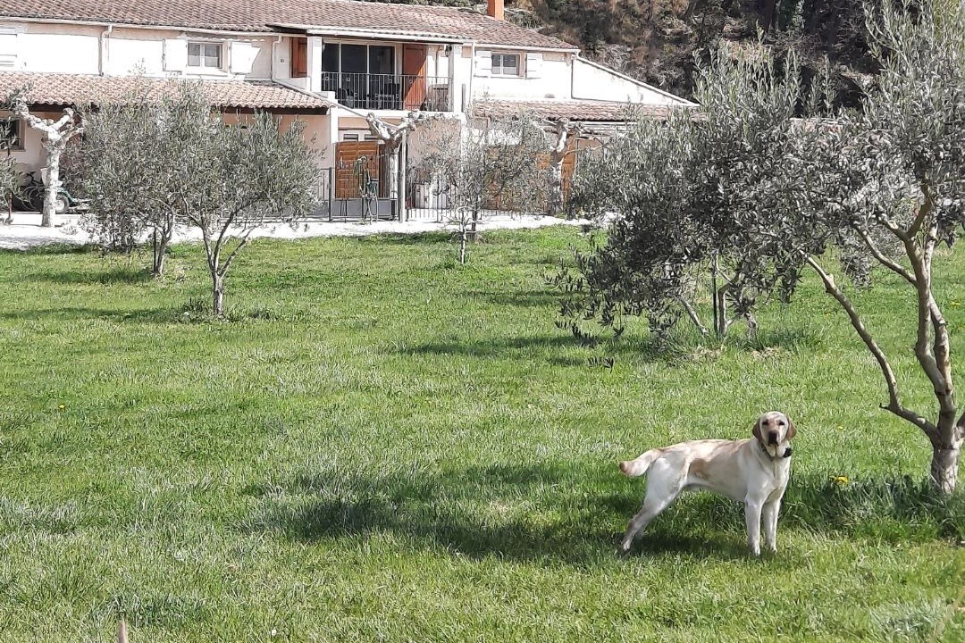 Photo of Outdoor in Puget