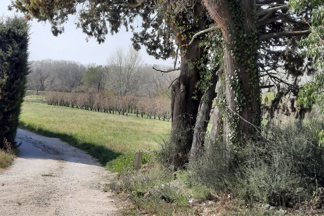 Photo of Outdoor in Puget