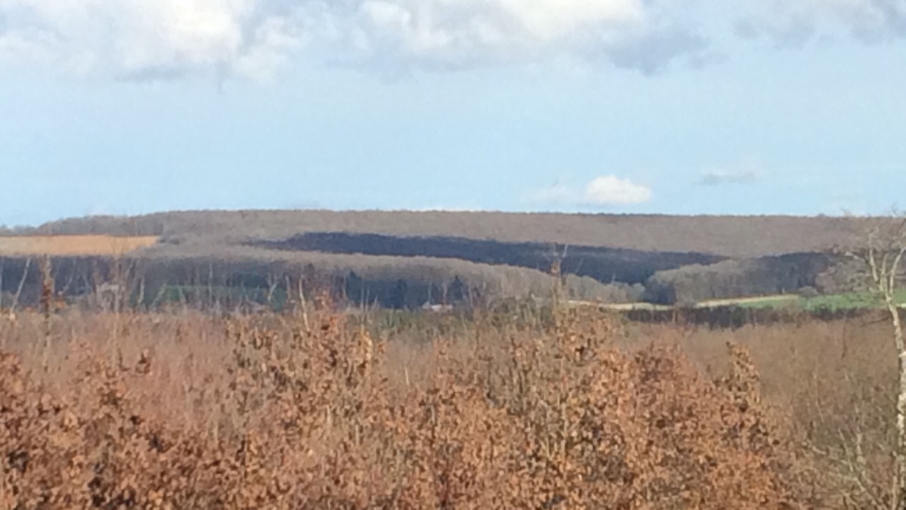 Photo of Outdoor in Narcy
