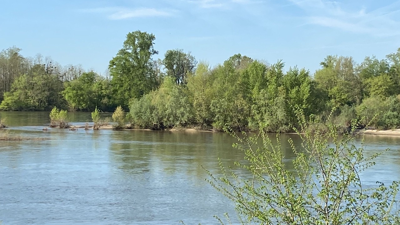 Photo of Outdoor in Narcy