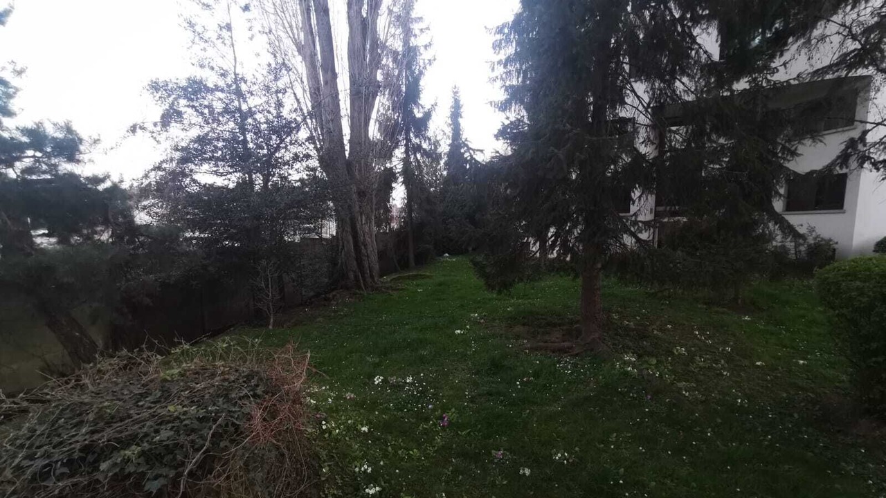 Photo of Outdoor in Chatenay-Malabry