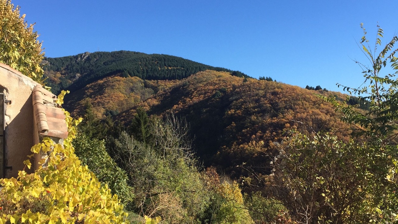 Photo of Outdoor in Chirols