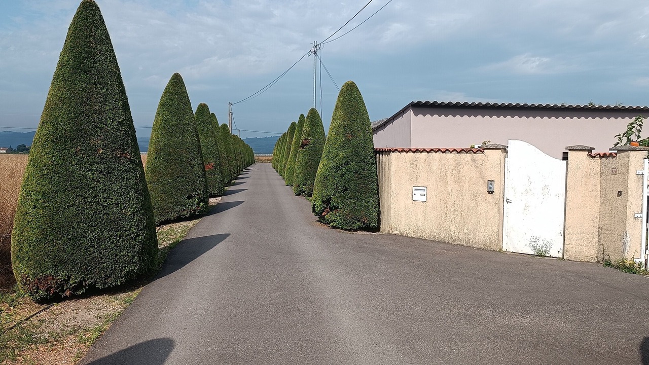 Photo of Outdoor in Anneyron