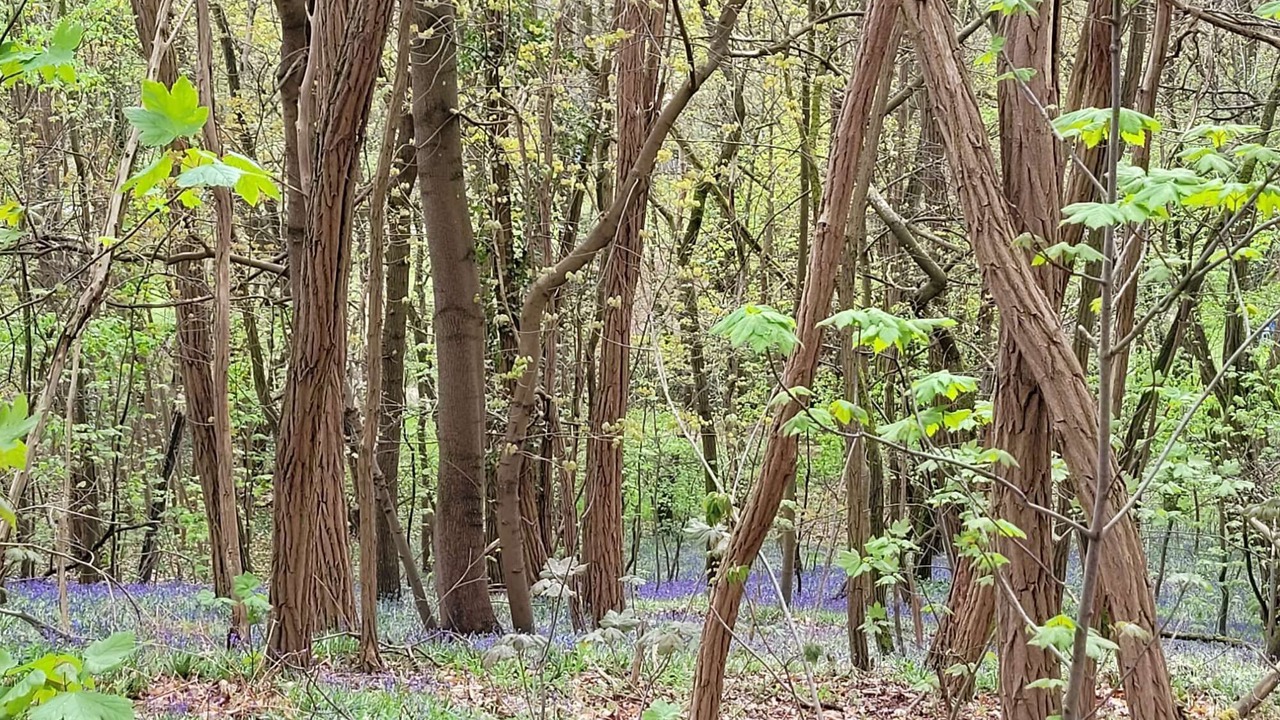 Photo of Others in Verrieres-le-Buisson