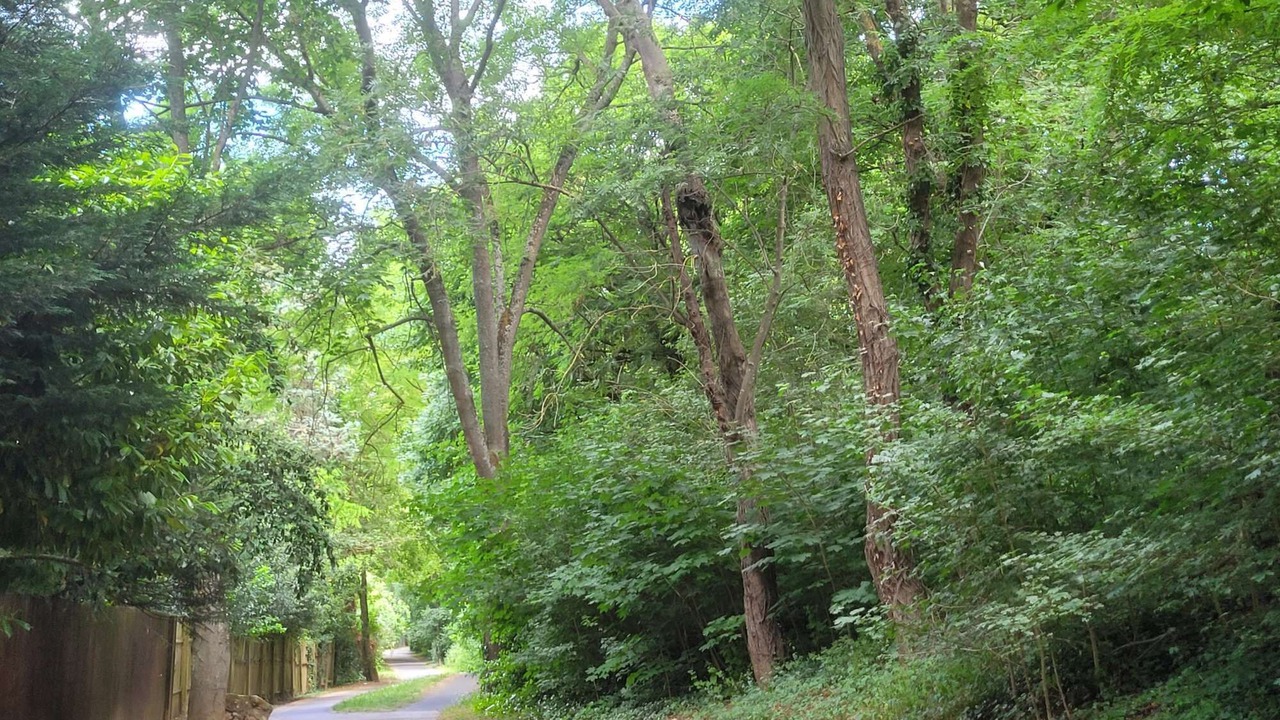 Photo of Others in Verrieres-le-Buisson