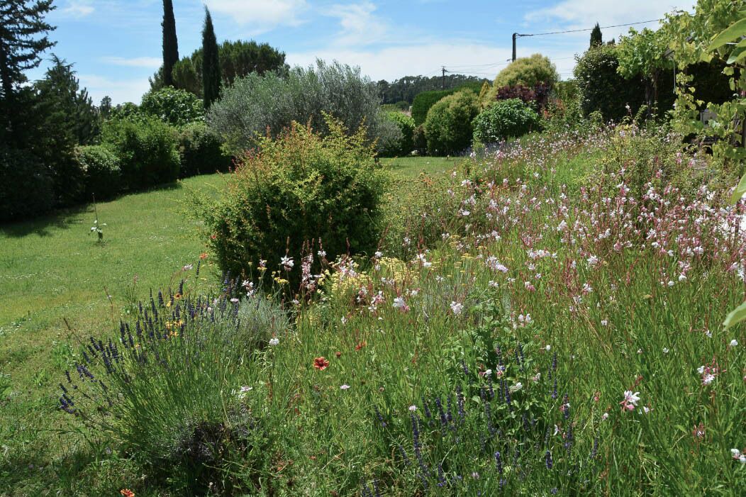Photo of Outdoor in Bedoin