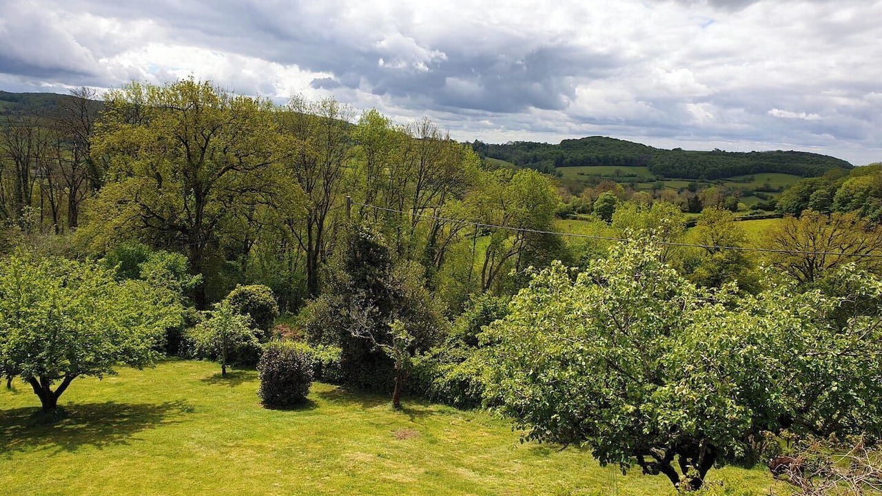 Photo of Outdoor in Montigny-en-Morvan