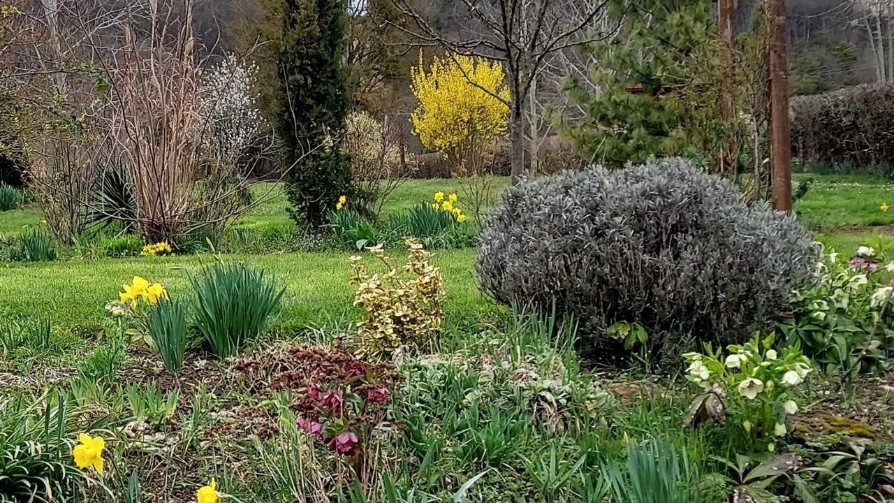 Photo of Outdoor in Saint-Ythaire