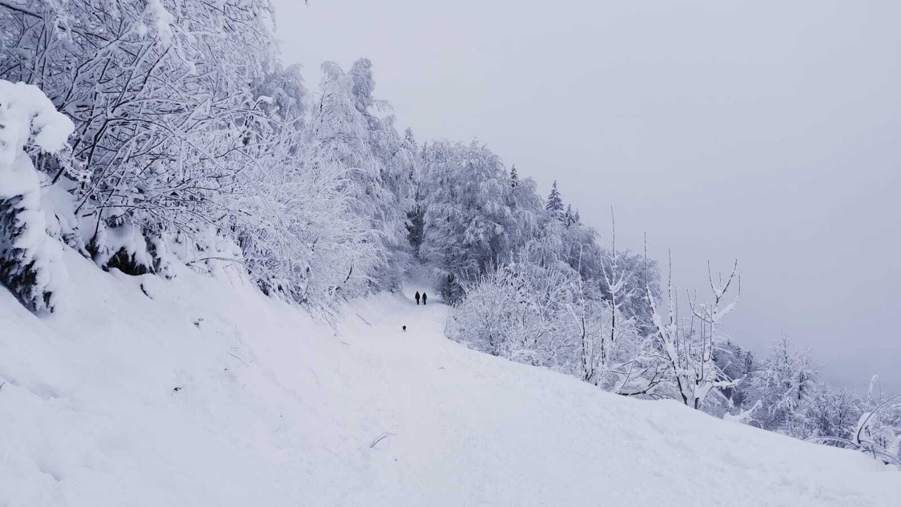 Photo of Others in Bons-en-Chablais