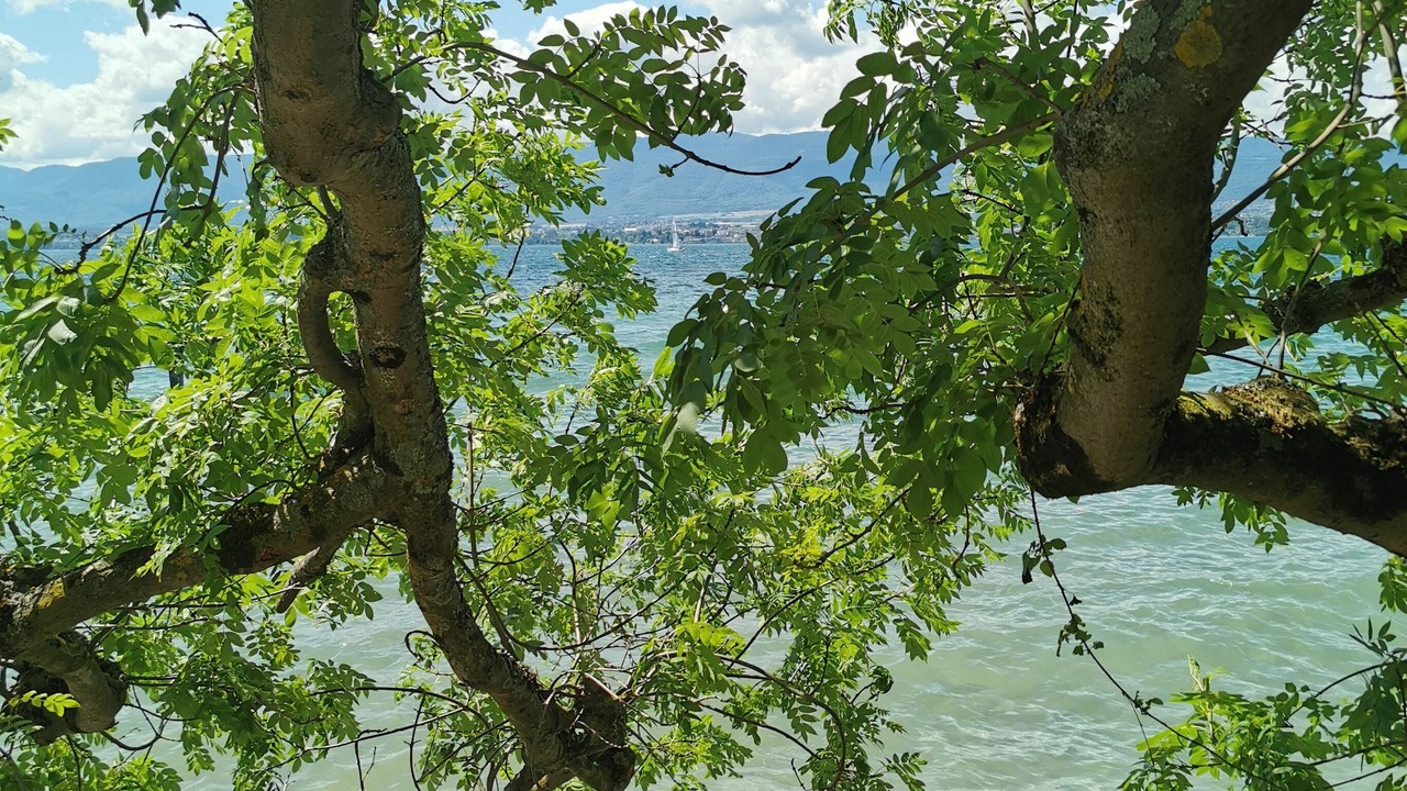 Photo of Outdoor in Bons-en-Chablais