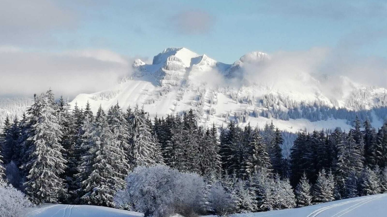 Photo of Others in Bons-en-Chablais