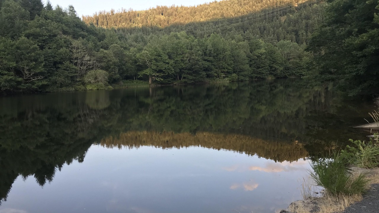 Photo of Outdoor in Lavastrie