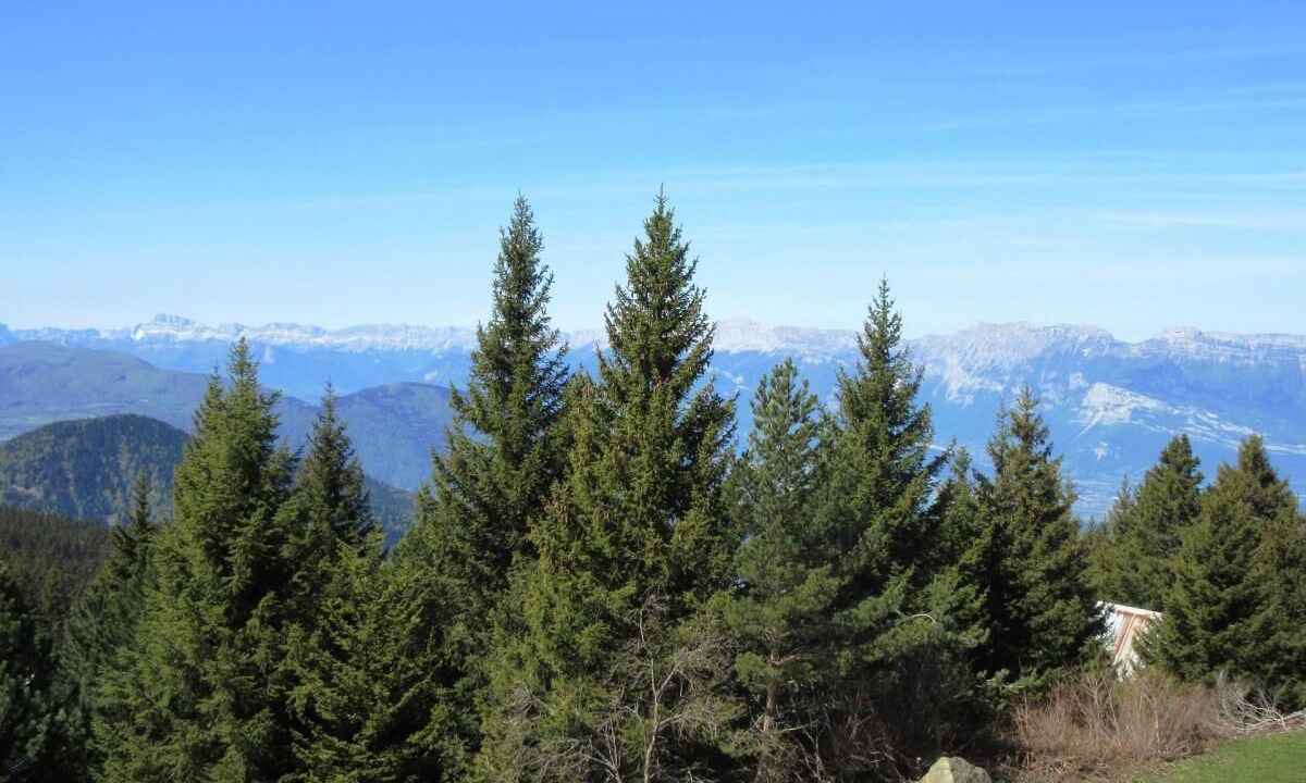 Photo of Others in Chamrousse