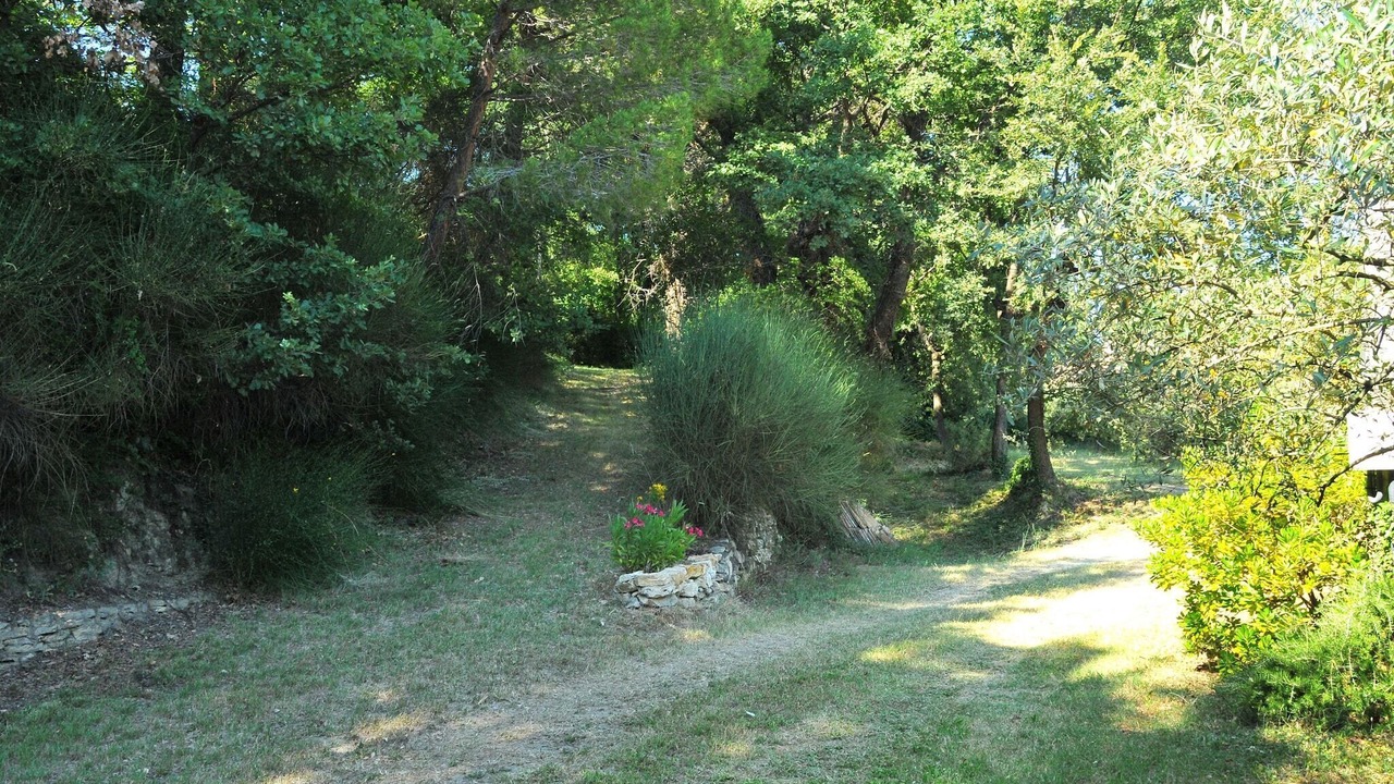 Photo of Others in Puymeras