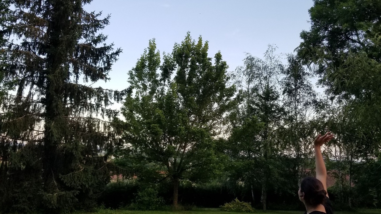 Photo of Outdoor in Saint-Leger-les-Paray