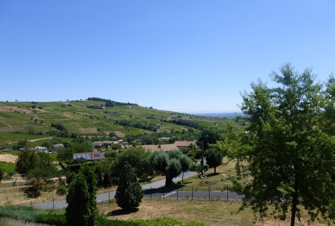 Photo of Outdoor in Julienas