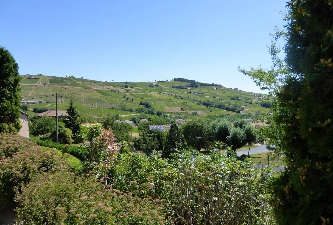Photo of Outdoor in Julienas