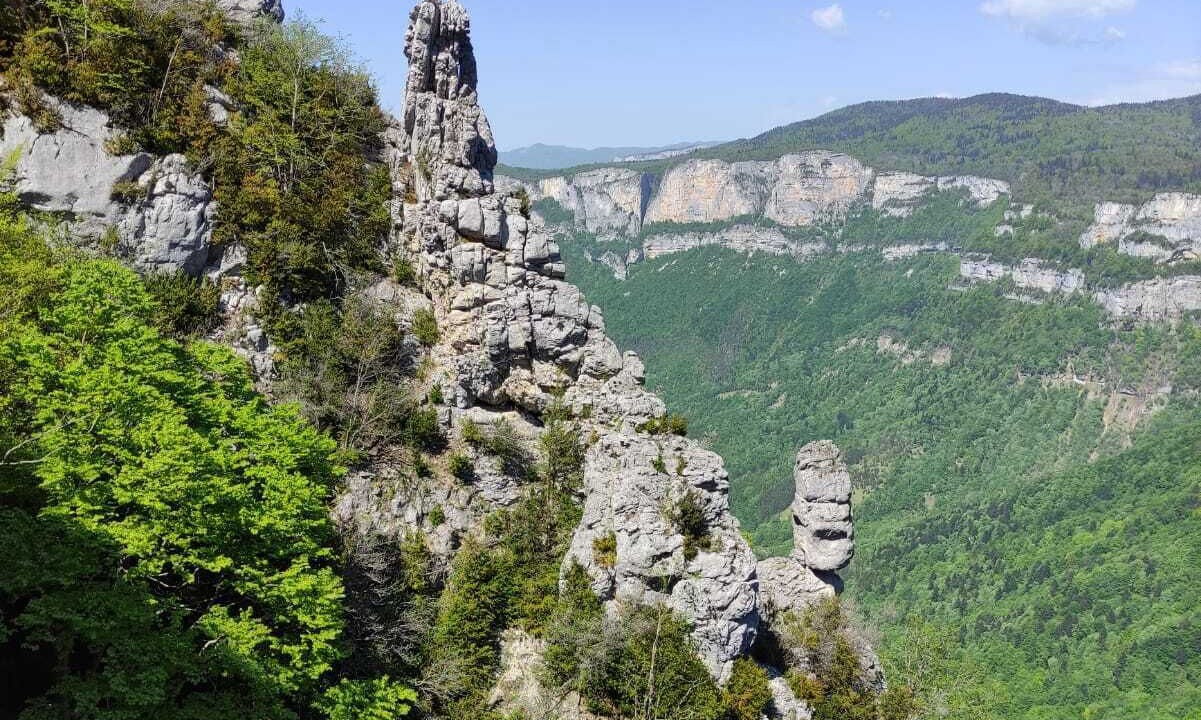 Photo of Others in Romans-sur-Isere