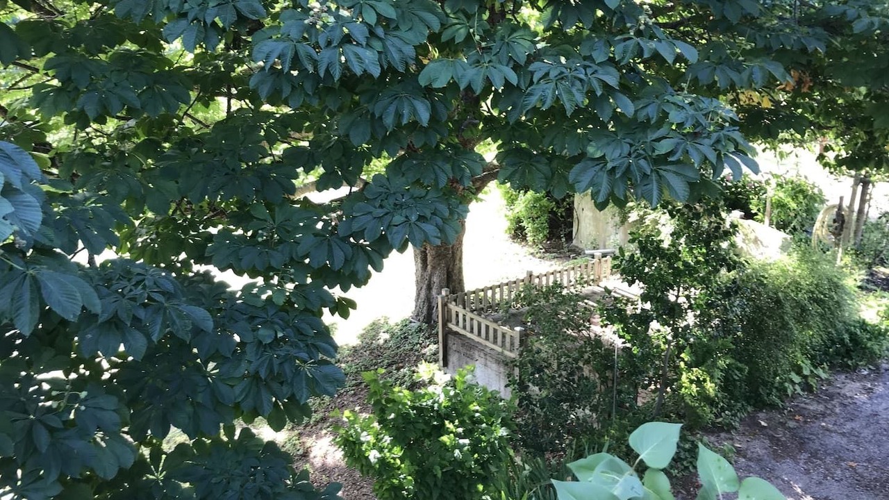 Photo of Outdoor in Saint-Jean-de-Muzols