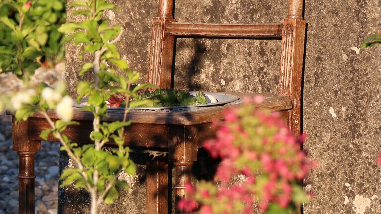 Photo of Outdoor in Montcony