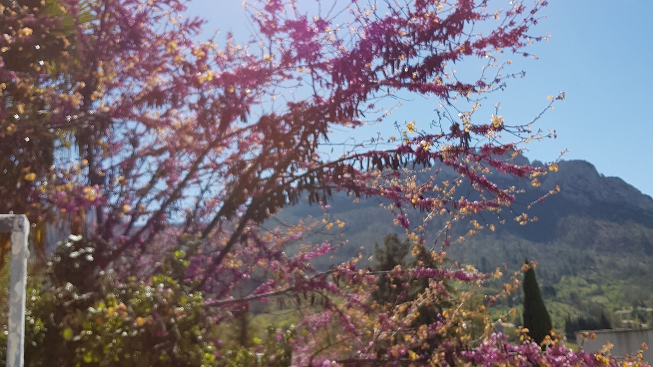 Photo of Outdoor in Buis-les-Baronnies