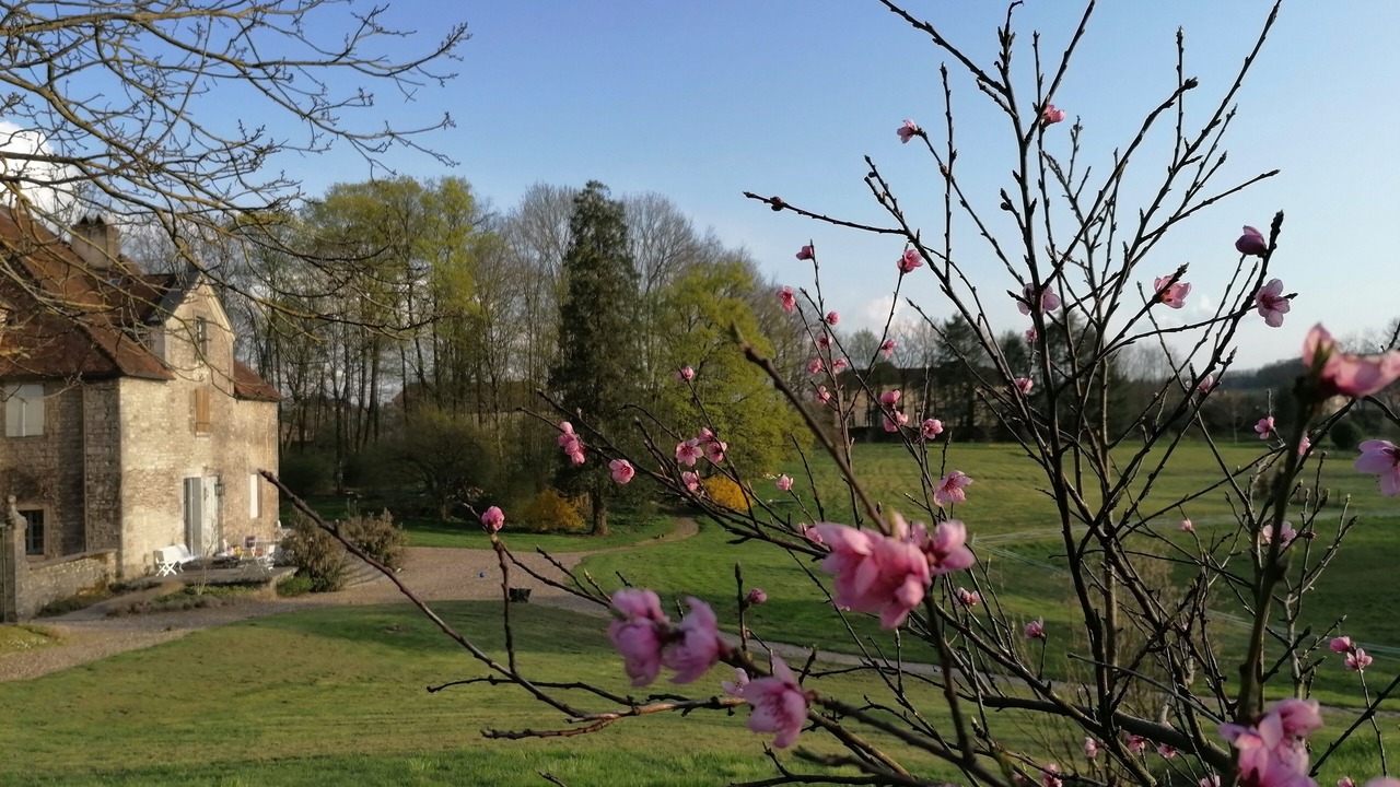 Photo of Outdoor in Miserey-Salines